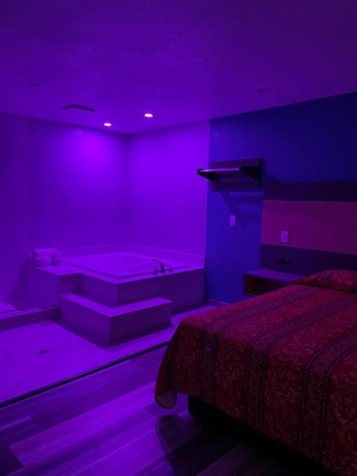 Casa Bell Motel, Los Angeles - LAX Airport image 26